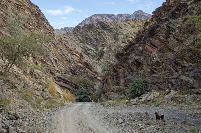 Exploring the Charm of Muscat: A Guide to Oman’s Capital City