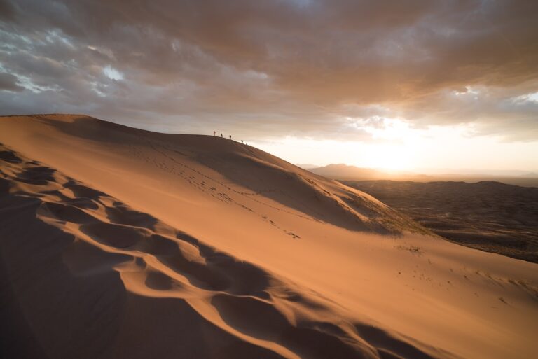 Dune Bashing in the Arabian Desert