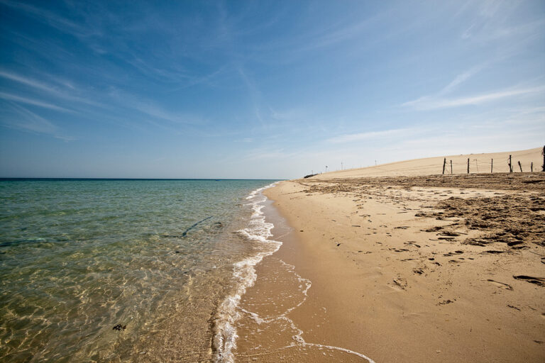 Al Ghariya Beach: The Perfect Blend of Leisure and Business for Tourists in Qatar