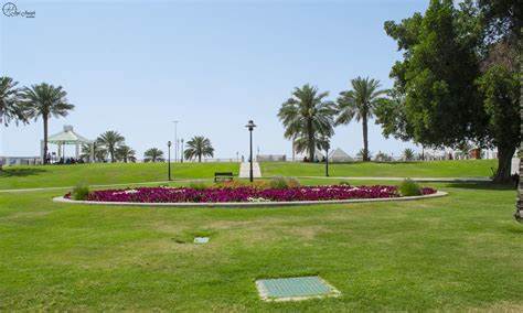 🇶🇦 Al Rumeilia Park: Doha’s Tranquil Oasis Awaits