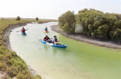 Al Thakira Mangroves in Qatar: A Hidden Gem for Tourists Seeking Tranquility and Natural Beauty