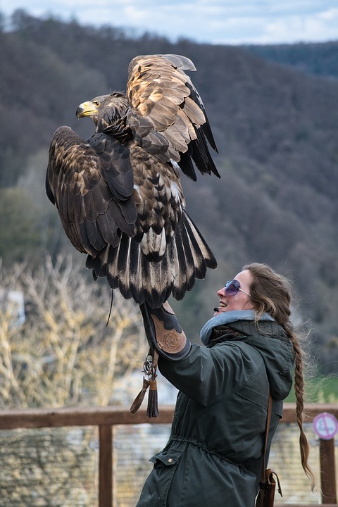 Bahrain’s Falconry Heritage: Preserving a Time-Honored Tradition