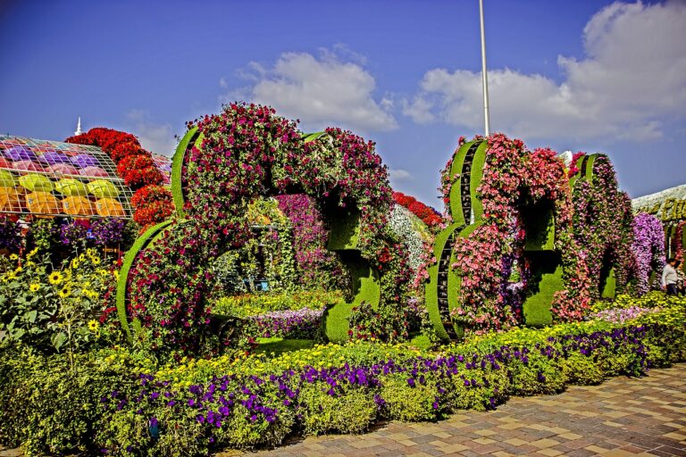 discover dubai miracle garden ticket prices get the best deals for your visit