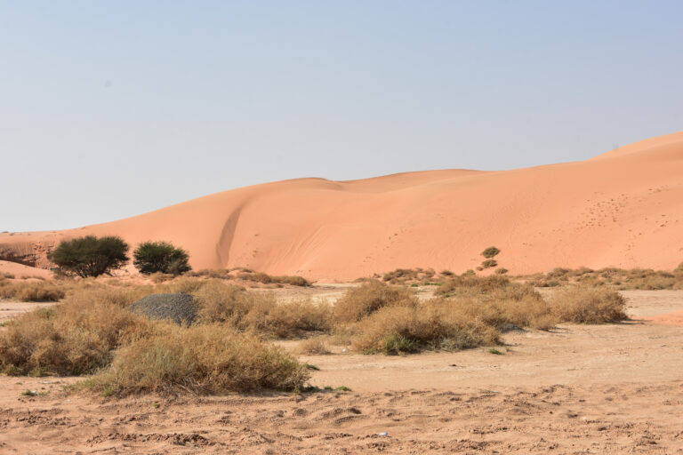 Discover the Beauty and Wonder of KSA’s Untouched Deserts