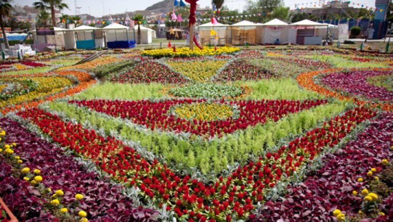 🇸🇦 Taif Rose Garden: A Fragrant Oasis in Saudi Arabia