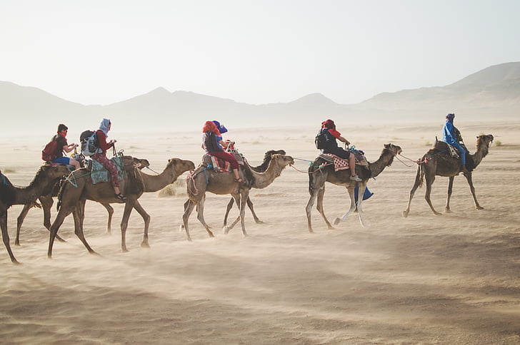 Discover the Beauty of the Desert: A Guide to KSA Desert Safaris