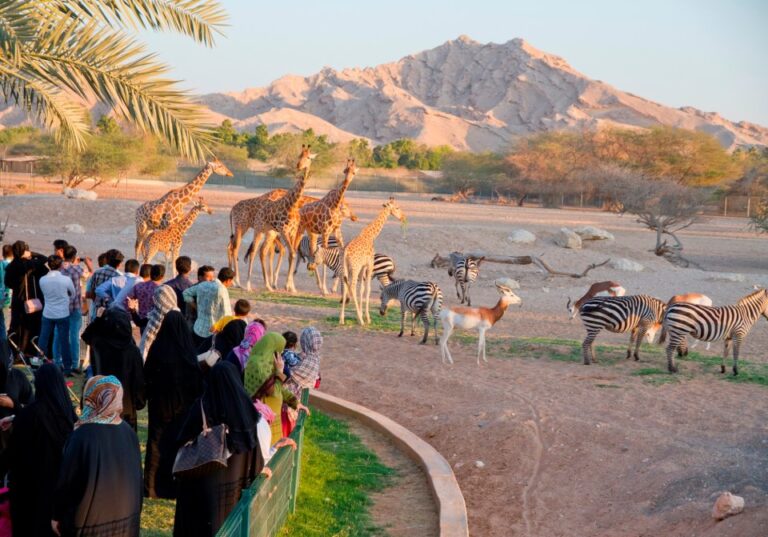 discover the fascinating world of wildlife at al ain zoo uae a must visit for tourists