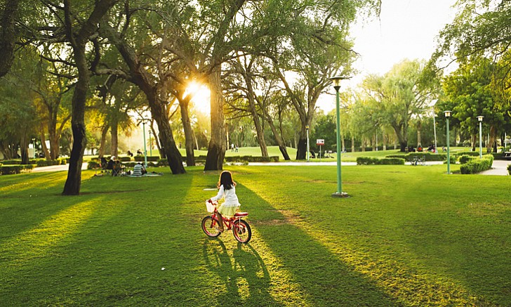 🇦🇪 Mushrif Park Awaits: Discover Dubai’s Tranquil Oasis