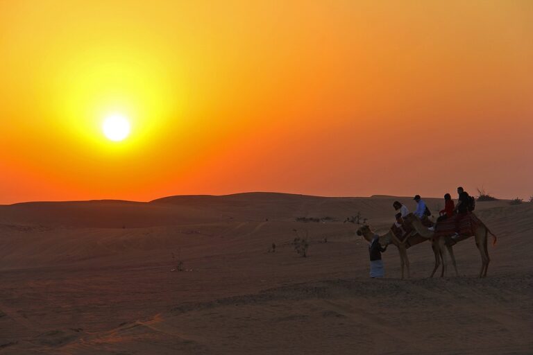 Discover the Thrill of Camel Riding in the UAE