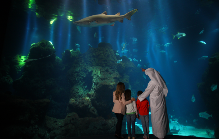 discover the wonders of marine life at the scientific center aquarium in kuwait