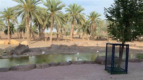 Nature & Nurture in Sharjah: Unveiling the Treasures of Sharjah Desert Park – Animals, Sand & More! ️