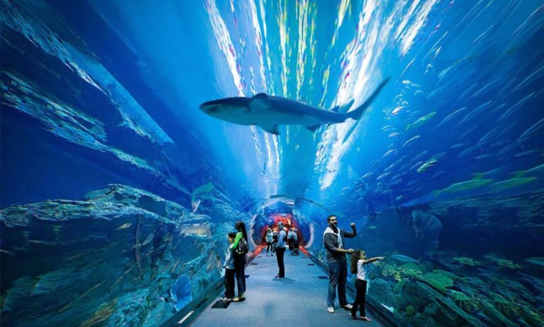 Discover the Wonders of The Lost Chambers Aquarium at Atlantis The Palm in Dubai