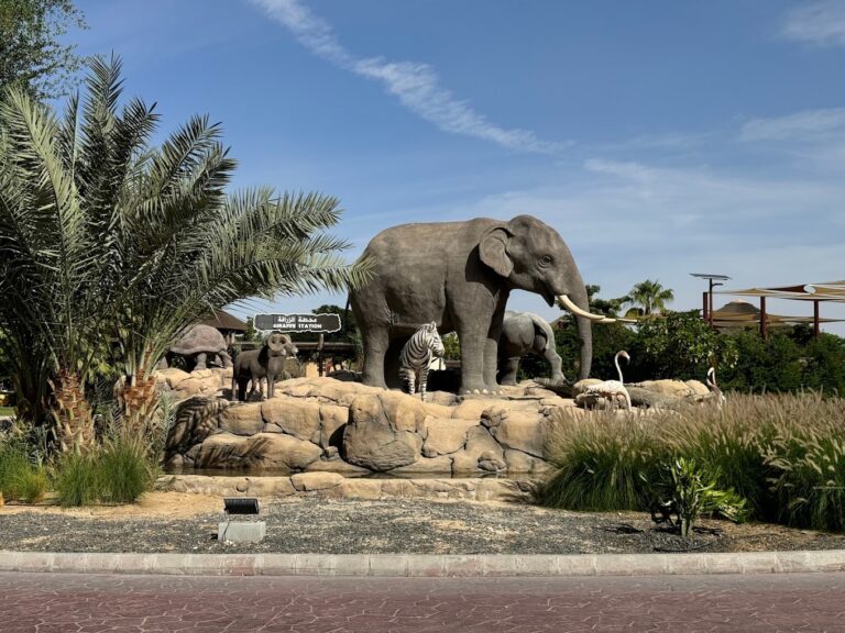 🐘 Dubai Safari Park: A Wild Adventure in the Heart of the Desert 🌵