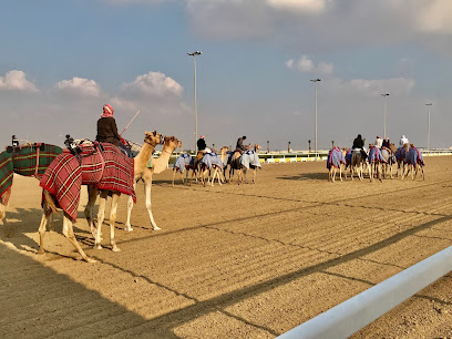 🇶🇦 Al Shahaniya Camel Racetrack: Qatar’s Heart-Pounding Tradition