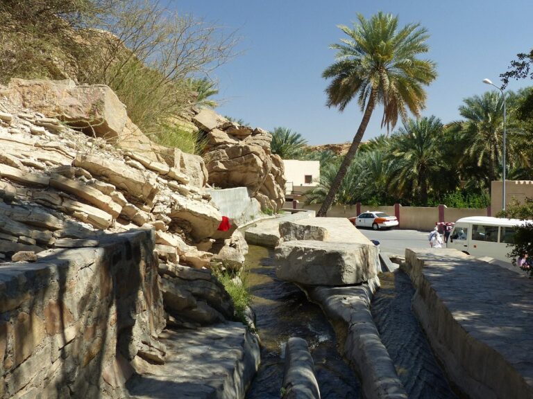 Explore the Tranquil Oasis of Falaj Daris Park: A Must-Visit for Tourists in Nizwa, Oman