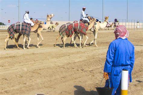 🇶🇦 Al Sheehaniya: Unearthing Qatar’s Hidden Gem