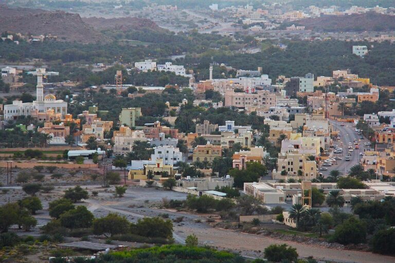 exploring birkat al mouz a must visit destination in nizwa oman for tourists and business travelers