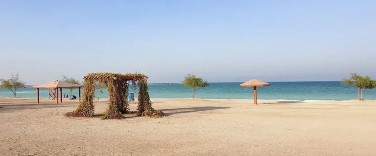 exploring simaisma beach a hidden gem for tourists in qatar