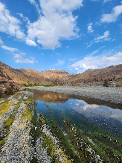 🏞️ Wadi Al Abyadh: Nature’s Oasis in Ash Sharqiyah, Oman