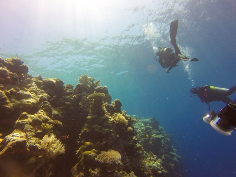 Exploring the Crystal Clear Waters: The Ultimate Guide to Scuba Diving in the UAE