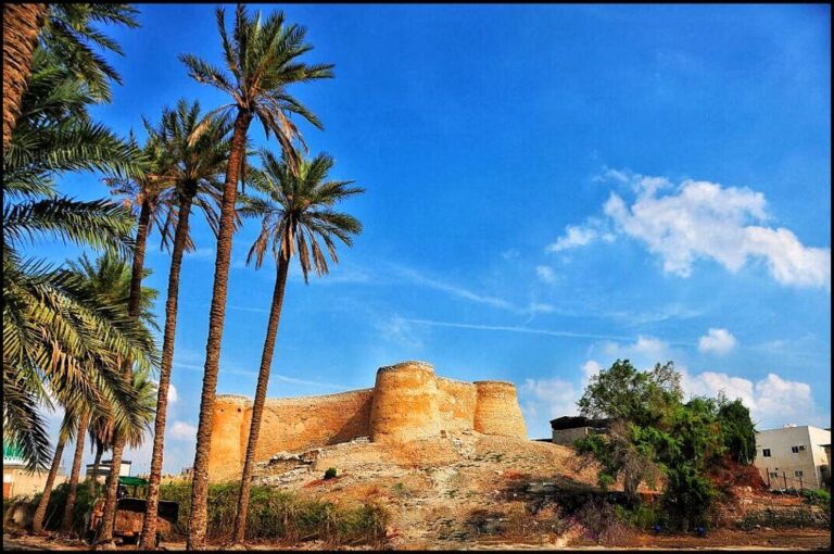 🏰 Tarout Castle: Discover the Timeless Beauty of Taif, Saudi Arabia 🌄