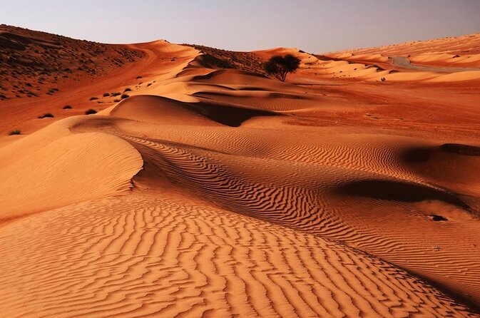 Exploring the Majestic Beauty of Sharqiyah Sands in Oman