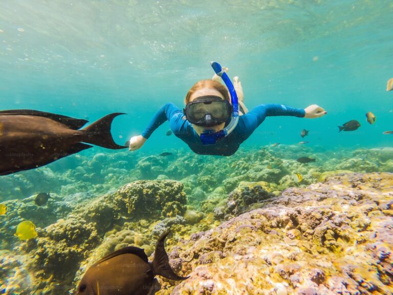 Rich Underwater World: Snorkeling in the UAE