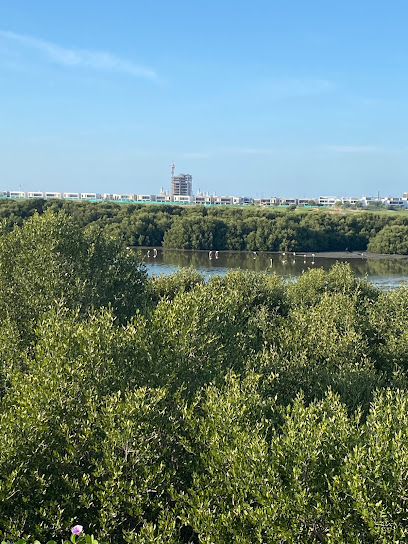 🌲 Al Zorah Nature Reserve: A Symphony of Nature’s Tranquility 🇦🇪