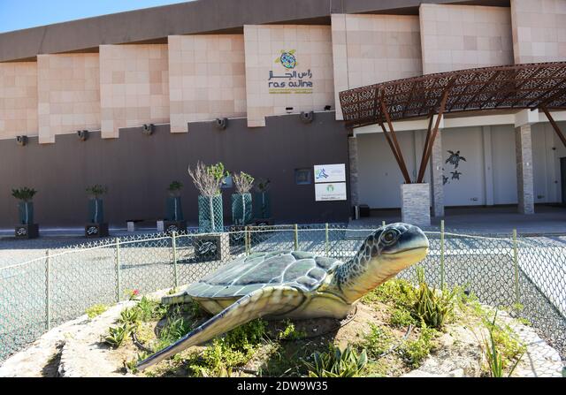 🇴🇲 Ras Al Jinz Visitor Center: Turtle Encounters Await