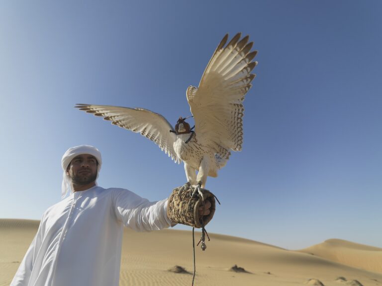 Preserving the Heritage of Falconry in the Kingdom of Saudi Arabia