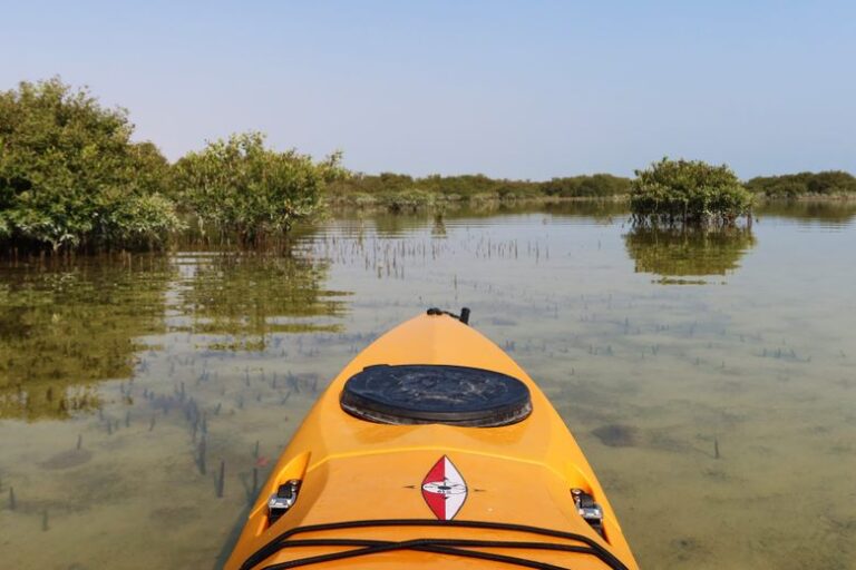 Eco-Escape in Qatar: Kayak & Explore Al Thakira’s Mangrove Wonders