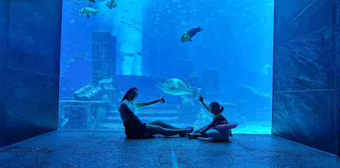 🇦🇪 Lost Chambers Aquarium: Dive into Atlantis