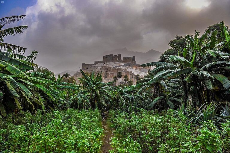 🏰 Dhee Ayn Village: A Timeless Oasis in Najran, Saudi Arabia 🌴