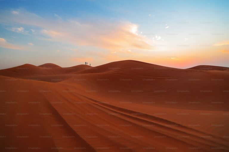 the uae desert a haven for adventure seekers