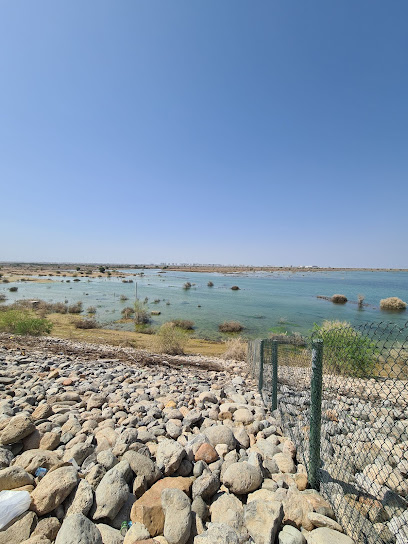 Al Khoud Dam: Nature’s Haven by Muscat’s Doorstep 🌳