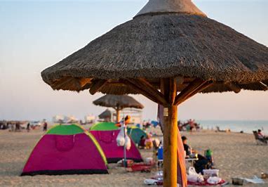 uncover the beauty of al ghariya beach a must visit for tourists and business travelers in qatar