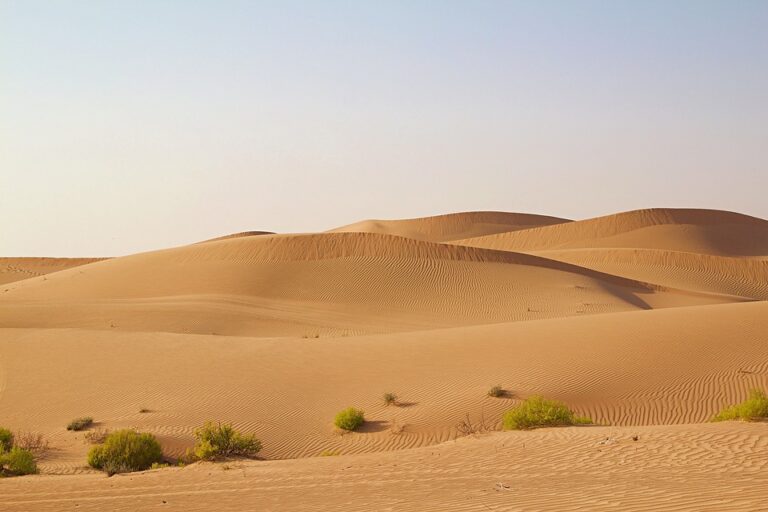 uncovering the beauty and riches of the uae desert landscape