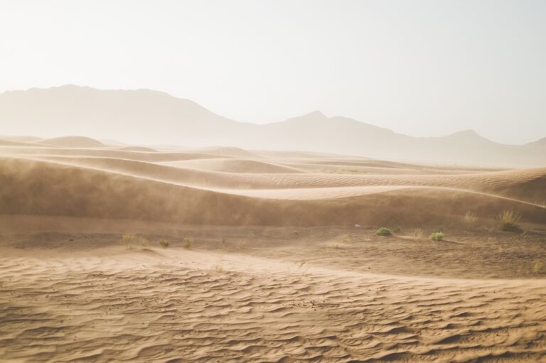 Uncovering the Rich History of Qatar’s Desert