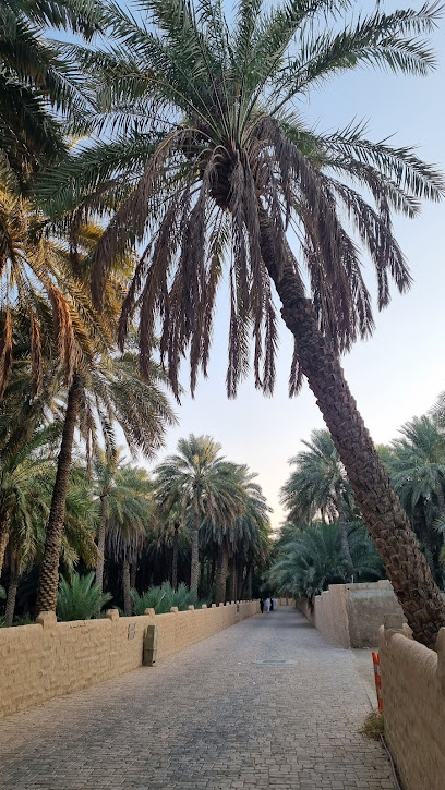 🌴 Al Ain Oasis: Unwind in Nature’s Embrace with a Business Twist